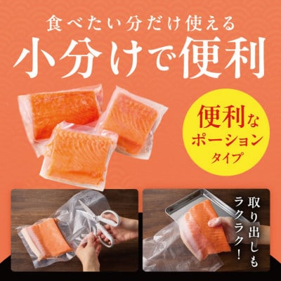 【訳あり】サーモン 500g ポーション お試し サイズ不揃い