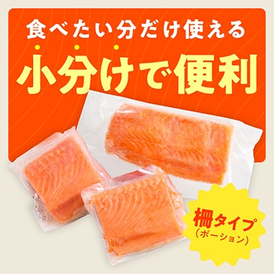 【訳あり】サーモン 500g ポーション お試し サイズ不揃い