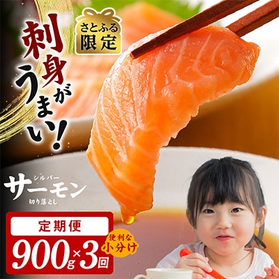 【毎月定期便】【さとふる限定】サーモン 切り落とし 総量2.7kg 900g×全3回 099Z155