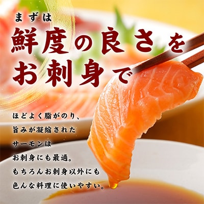 【毎月定期便】サーモン 切り落とし 総量2.7kg 900g×全3回