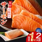 【毎月定期便】サーモン ポーション 小分け 刺身用 訳あり サイズ不揃い 1kg×全2回