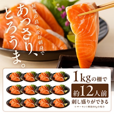 【毎月定期便】サーモン ポーション 小分け 刺身用 訳あり 1kg×全2回
