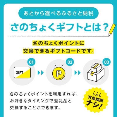 【有効期限なし】あとから選べる 泉佐野ふるさとギフト sn025a
