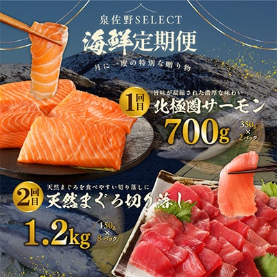 【毎月定期便】泉佐野厳選 豪華海鮮をお届け(サーモン まぐろ かつお 真鯛)全4回 099Z161