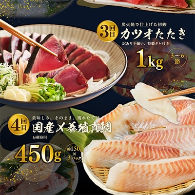 【毎月定期便】泉佐野厳選 豪華海鮮をお届け(サーモン まぐろ かつお 真鯛)全4回 099Z161