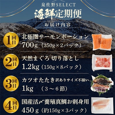 【毎月定期便】泉佐野厳選 豪華海鮮をお届け(サーモン まぐろ かつお 真鯛)全4回 099Z161
