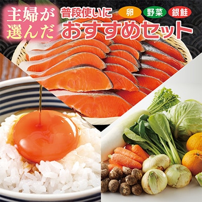 主婦が選んだ 普段使いにおすすめセット(銀鮭 切り身 卵 野菜)【複数個口で配送】 099S015