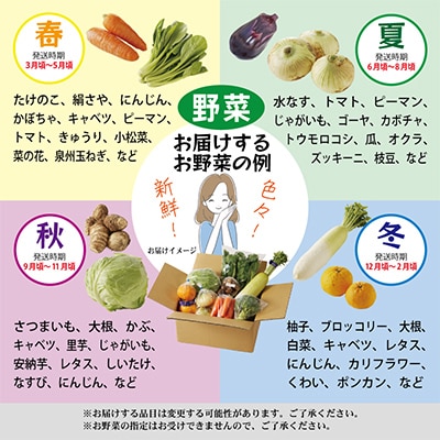 主婦が選んだ 普段使いにおすすめセット(銀鮭 切り身 卵 野菜)【複数個口で配送】 099S015