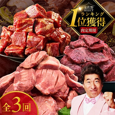 【毎月定期便】肉の泉佐野 3種 総量 3.9kg ファミリー向け 全3回 099Z309