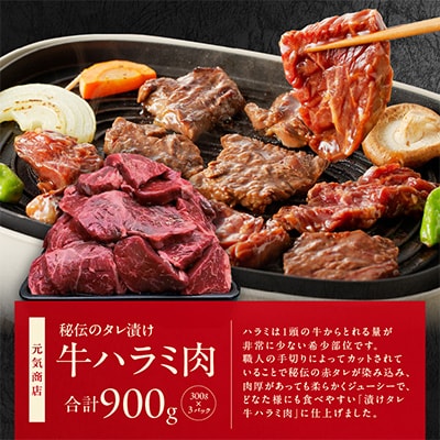 肉の泉佐野 福袋 3種 総量 2.5kg ファミリー向け【複数個口で配送】 099S022