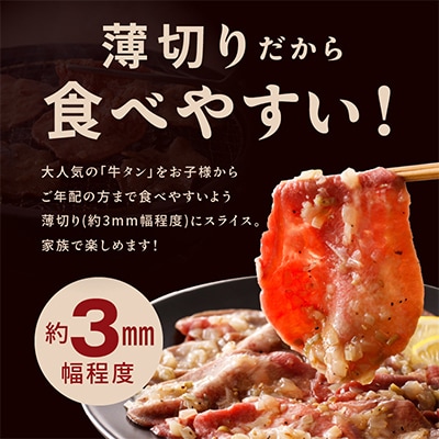 【毎月定期便】牛タン&サーモン 食べ比べ 定期便 総量1kg 099Z477 全2回
