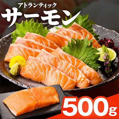 【毎月定期便】牛タン&サーモン 食べ比べ 定期便 総量1kg 099Z477 全2回