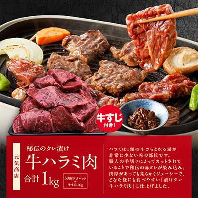 肉の泉佐野 福袋 3種 総量 2.6kg ファミリー向け【複数個口で配送】