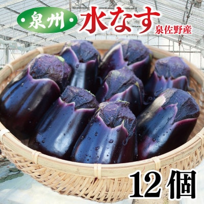 泉州 水なす 12個 ハウス栽培 G1489
