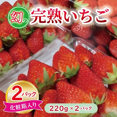 【特別規格】朝摘み完熟いちご 化粧箱入り 220g×2パック G1631