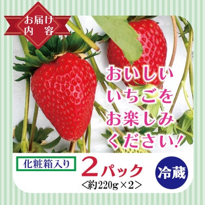 【特別規格】朝摘み完熟いちご 化粧箱入り 220g×2パック G1631