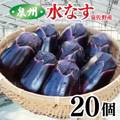 泉州 泉佐野市産 ハウス水なす 20個 とれたて 新鮮野菜 099H4104