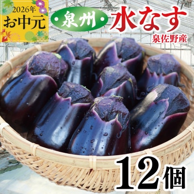 【のし付・お中元】泉州 泉佐野市産 ハウス水なす 12個 とれたて 新鮮野菜 010B1061t