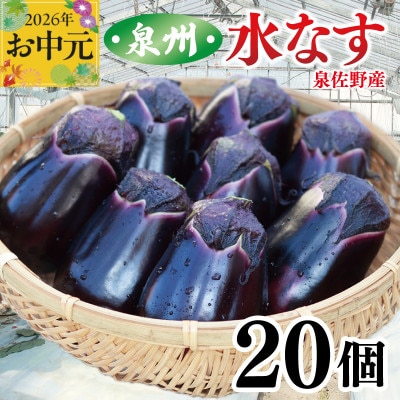 【のし付・お中元】泉州 泉佐野市産 ハウス水なす 20個 とれたて 新鮮野菜 099H4104t