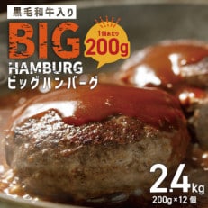 黒毛和牛入り BIGハンバーグ 総量2.4kg(200g×12個)泉州玉ねぎ使用 G873 | ふるさと納税のお礼品