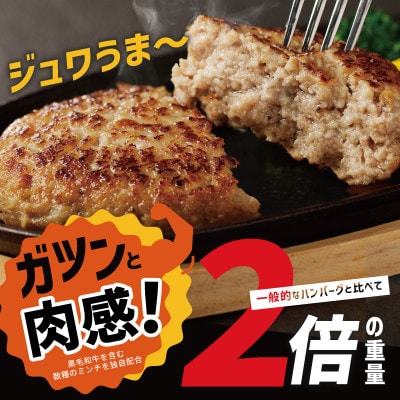 黒毛和牛入り BIGサイズ ハンバーグ 200g×12個 わんぱくサイズ G1733