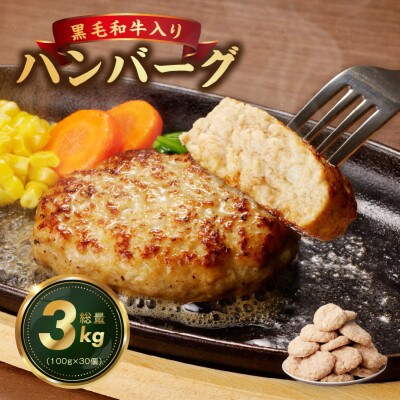 黒毛和牛入り ハンバーグ 30個 小分け 5個×6袋 1個あたり約100g G1046