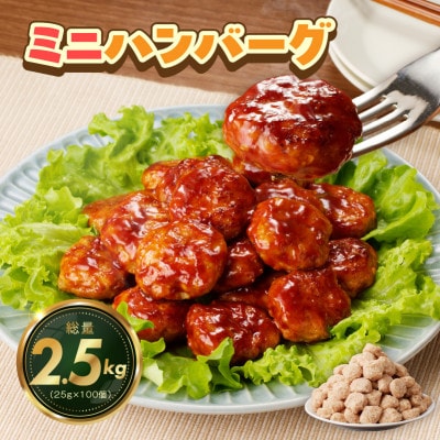 桜文特製 ミニハンバーグ 100個(50個×2袋)1個あたり約25g G1047