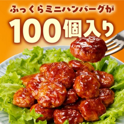 桜文特製 ミニハンバーグ 100個(50個×2袋)1個あたり約25g G1047