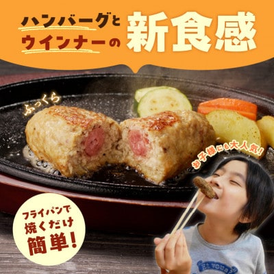 ウィンナー入り ハンバーグ 総量1.8kg (120g×15個)G1058
