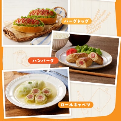ウィンナー入り ハンバーグ 総量1.8kg (120g×15個)G1058