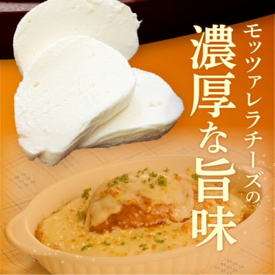 モッツァレラチーズインハンバーグ 総量1.8kg (120g×15個)G1059