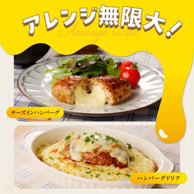 桜文特製 チーズハンバーグ 総量 1.8kg (120g×15個)G1278