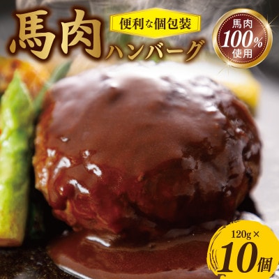 桜文 馬肉ハンバーグ 総量1.2kg(120g×10個) 個包装　G1728