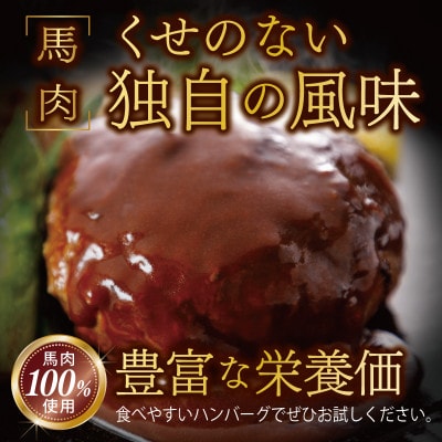 桜文 馬肉ハンバーグ 総量1.2kg(120g×10個) 個包装　G1728