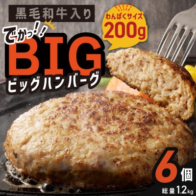 桜文 黒毛和牛入り BIGハンバーグ 200g×6個　G1727
