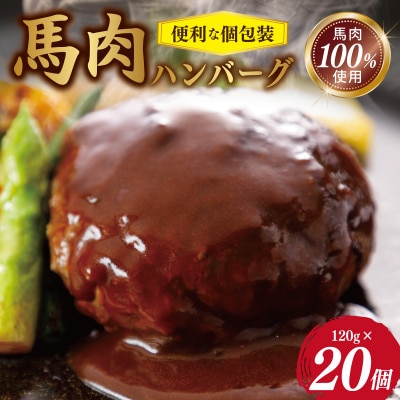 桜文 馬肉ハンバーグ 総量2.4kg(120g×20個) 個包装　G1737