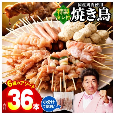 やきとり セット6種36本 010B1842
