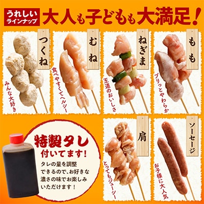 やきとり セット6種36本 010B1842