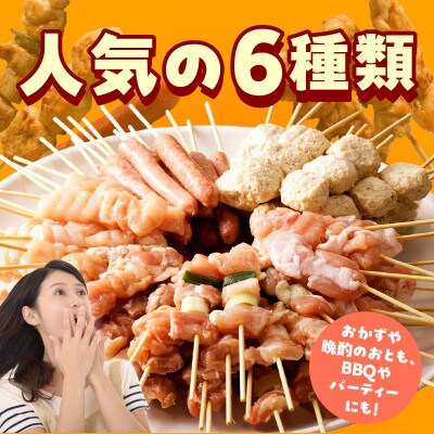 やきとり セット　6種108本 020C532