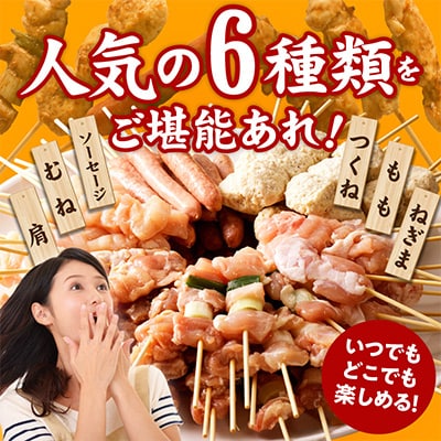 やきとり セット　6種108本 020C532