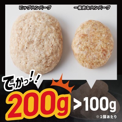 BIG　ハンバーグ200g×4個 005A662