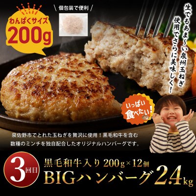 【毎月定期便】桜文 お楽しみセット 焼き鳥/牛タン/黒毛和牛 BIGハンバーグ 全3回 G1060
