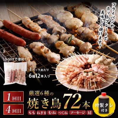 【毎月定期便】桜文 お楽しみセット 焼き鳥/牛タン/黒毛和牛 BIGハンバーグ 全6回 G1061