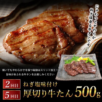【毎月定期便】桜文 お楽しみセット 焼き鳥/牛タン/黒毛和牛 BIGハンバーグ 全6回 G1061