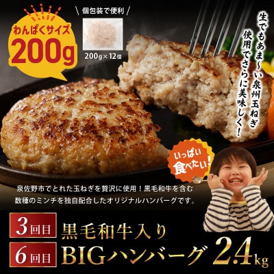 【毎月定期便】桜文 お楽しみセット 焼き鳥/牛タン/黒毛和牛 BIGハンバーグ 全6回 G1061