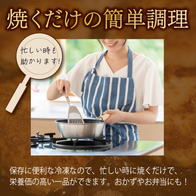 【毎月定期便】馬肉ハンバーグ 120g×10個 全6回 099Z318