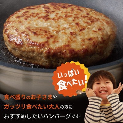 【毎月定期便】BIG ハンバーグ 200g×12個 全3回 099Z412