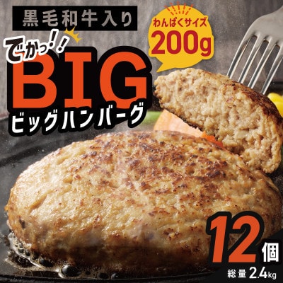 【毎月定期便】BIG ハンバーグ 200g×12個 全6回 099Z413