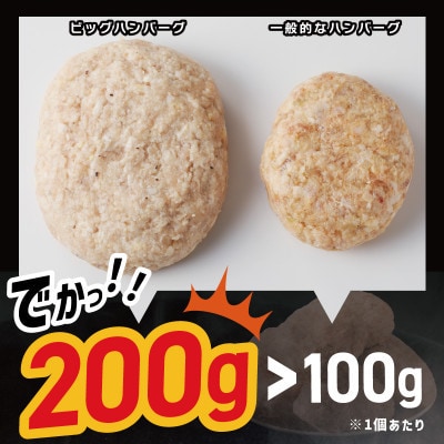 【毎月定期便】BIG ハンバーグ 200g×12個 全6回 099Z413