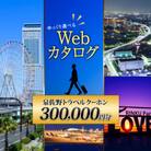 【ふるさと納税】オーダーメイドツアー型 旅行クーポン券(300,000円分)099V036